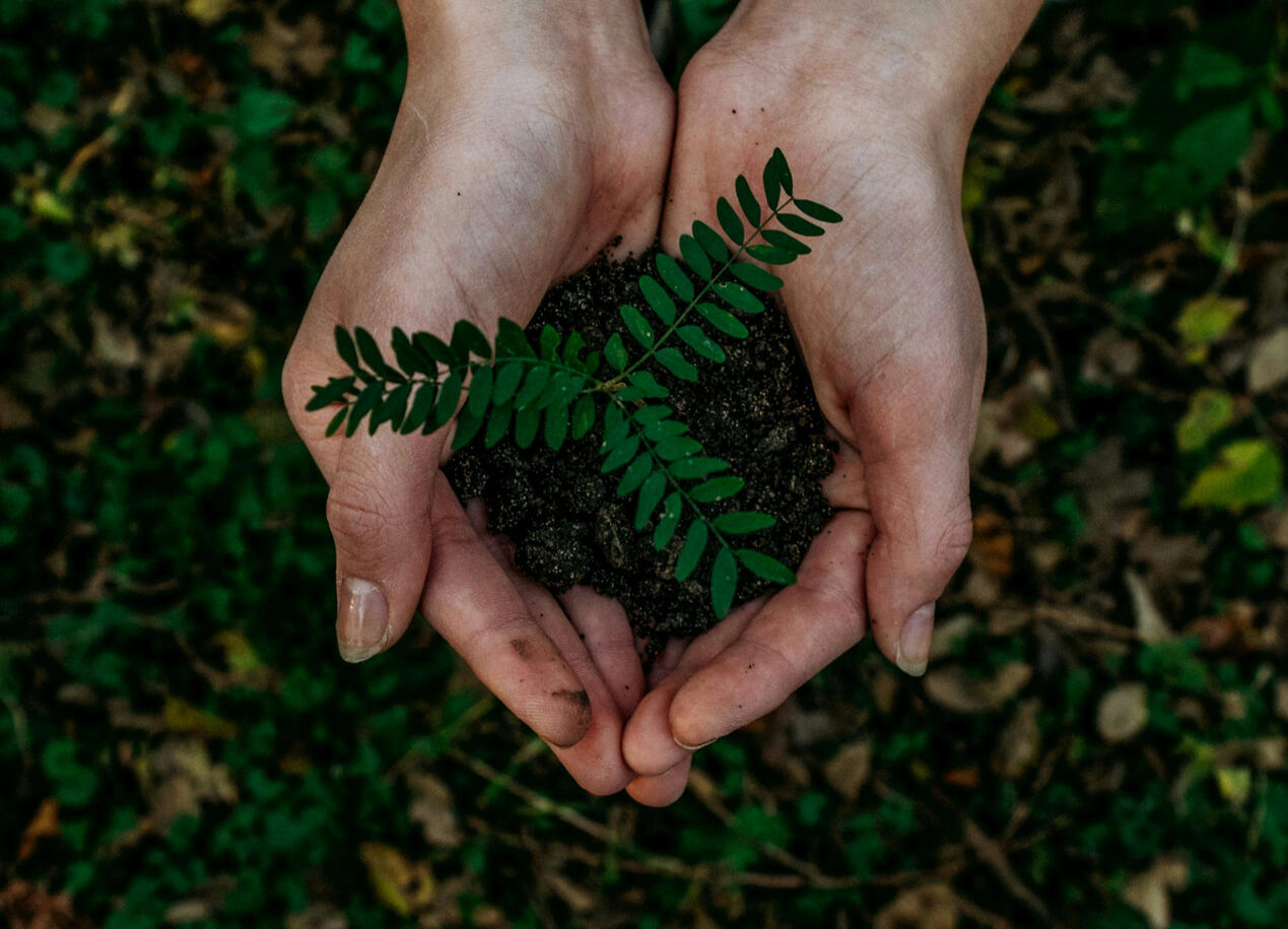 Seeds of Change: A reciprocal exchange for healing stories.